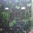 residencia_unifamiliar_barbara_e_antonio-22