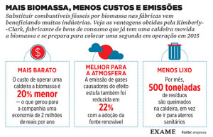 exame-ed1076-movidas-a-energia-verde-info-560i