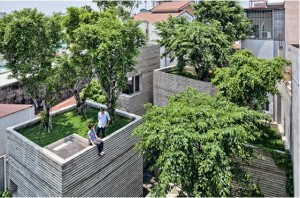 verde nas alturas