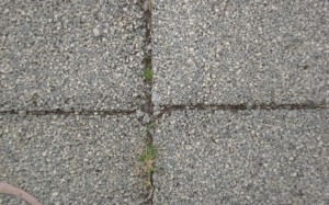 pisodrenante2
