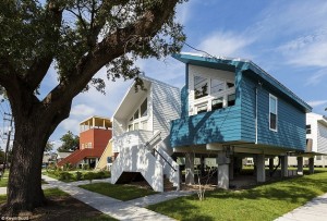 KatrinaPittHouses_interna2