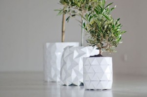 vasos4