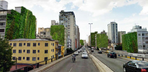 jardim-vertical-minhocao-2