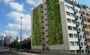 jardim-vertical-minhocao-525