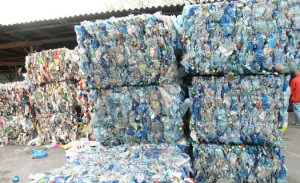 reciclaveis-niteroi-525
