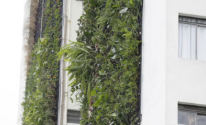 jardim-vertical-sp-525