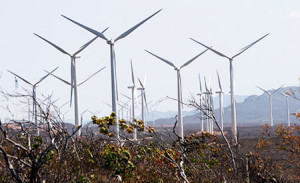 eolica-ecod (1)