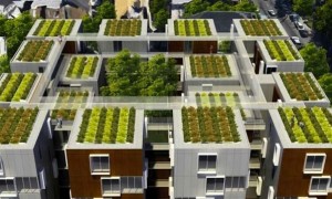 telhados_paris2