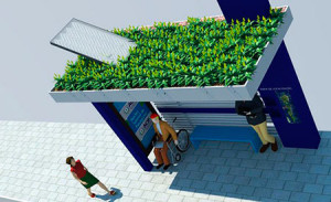 pontoonibus-ecod